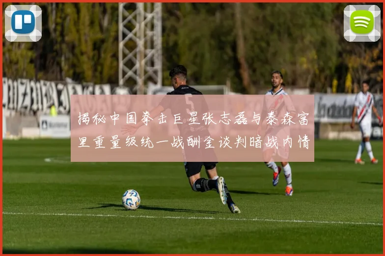 揭秘中国拳击巨星张志磊与泰森富里重量级统一战酬金谈判暗战内情全记录