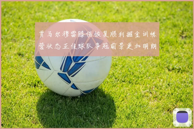 贾马尔穆雷膝伤恢复顺利掘金训练营状态正佳球队争冠前景更加明朗
