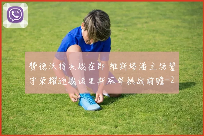 赞德沃特决战在即 维斯塔潘主场誓守荣耀迎战诺里斯冠军挑战前瞻